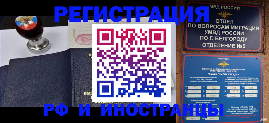 временная регистрация поиск в Щиграх